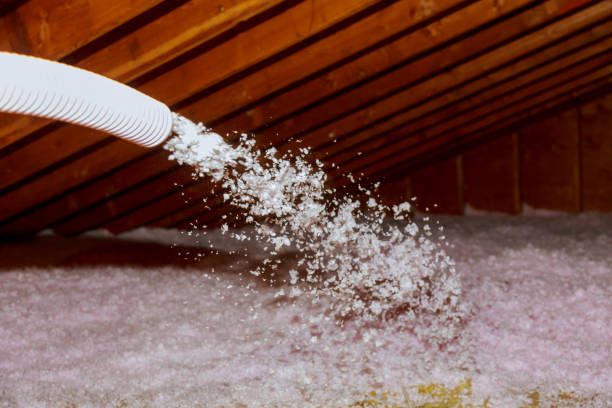 Best Commercial Insulation in New London, MN