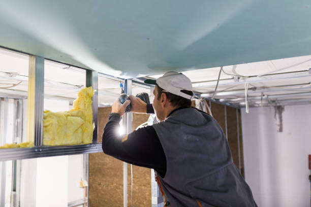 Best Insulation for Specific Applications in New London, MN