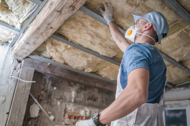 Best Insulation Materials and Products in New London, MN