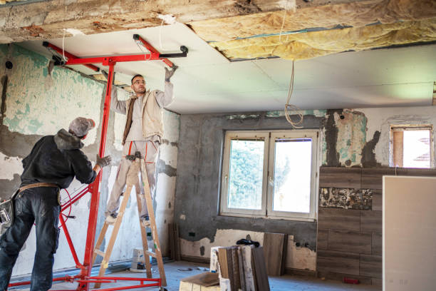 Professional Insulation Contractor in MN