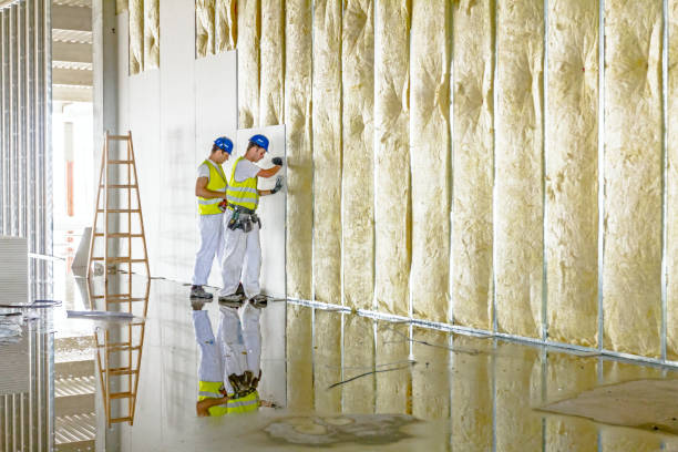 Best Insulation Installation Services in New London, MN